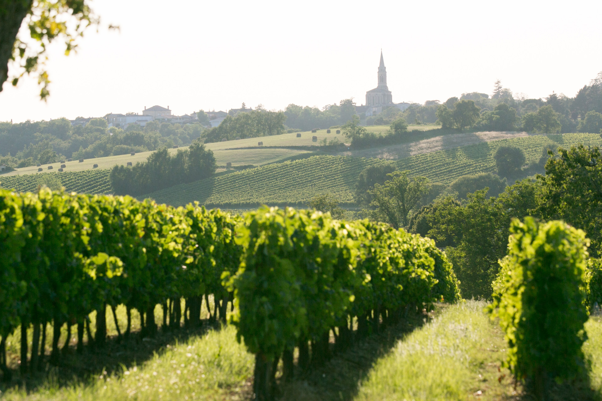 Bordeaux 2014: scores in bottle. (Article from Liv-ex Blog)