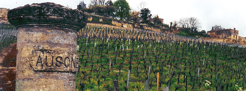 Bordeaux 2016 – the largest harvest since 2006