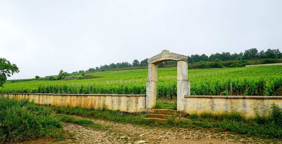 Domaine d’Auvenay