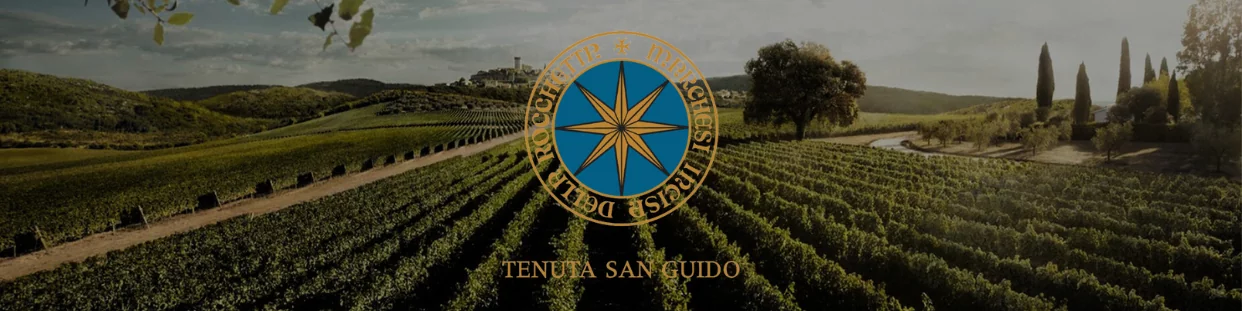 Tenuta San Guido
